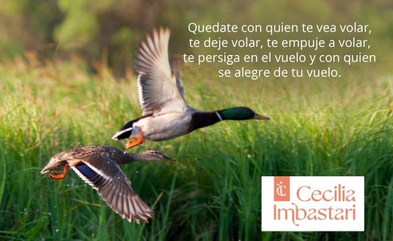 Quedate con quien te vea volar